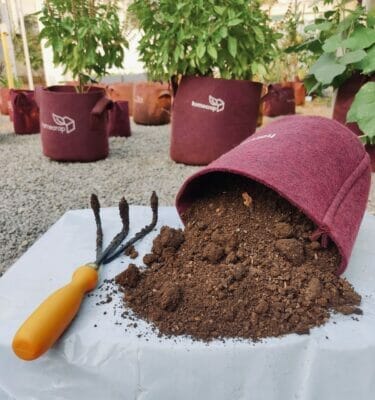 All-Purpose Ready-To-Use Potting Mix (10 KG) - Image 2