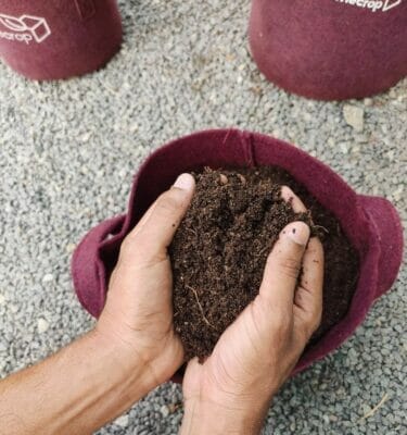 All-Purpose Ready-To-Use Potting Mix (10 KG) - Image 3