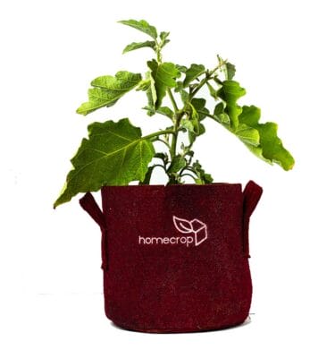 Smart Grow Bags - Image 1