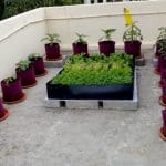 homecrop-terrace-garden-kit