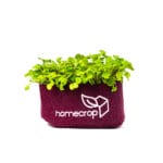 homecrop-white-radish-microgreens-kit