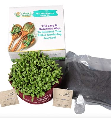 All-Inclusive Microgreens Kits | Grow Wheatgrass, Radish & More