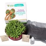 All-Inclusive Microgreens Kits | Grow Wheatgrass, Radish & More