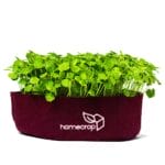 homecrop-grow-bag-12×4-inch-with-plant