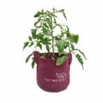 homecrop-vegetables-grow-kit-02