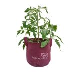 homecrop-vegetables-grow-kit-02