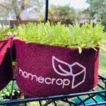 202206-homecrop-grow-bag-02