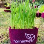 202206-homecrop-grow-bag-03
