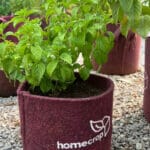 202206-homecrop-grow-bag-04