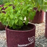 202206-homecrop-grow-bag-04
