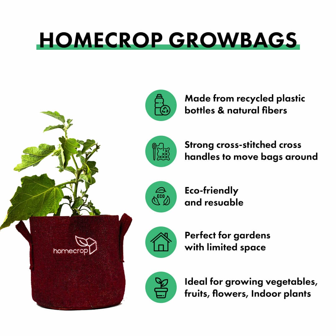 HDPE GROW BAGS(GREEN-250GSM)(PACK OF 5 AND 10) CONTACT US FOR BULK  REQUIREMENT - FARMERS CASTLE