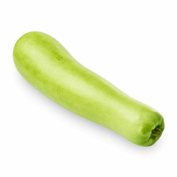 bottle-gourd-01