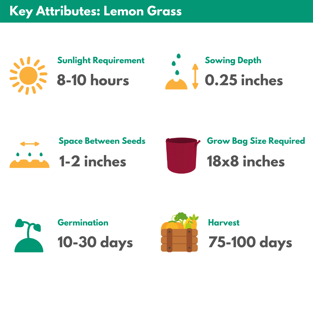 Homecrop Seeds Attributes Lemon Grass 01 ?strip=all&lossy=1&w=912&ssl=1