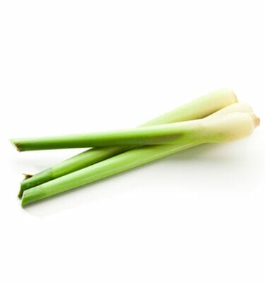 Lemon Grass Seeds - Image 1