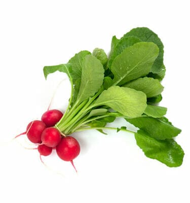 Radish Seeds - Image 1