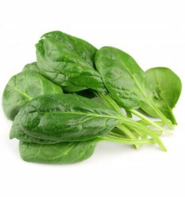 Malabar Spinach Seeds (Vine Seed)