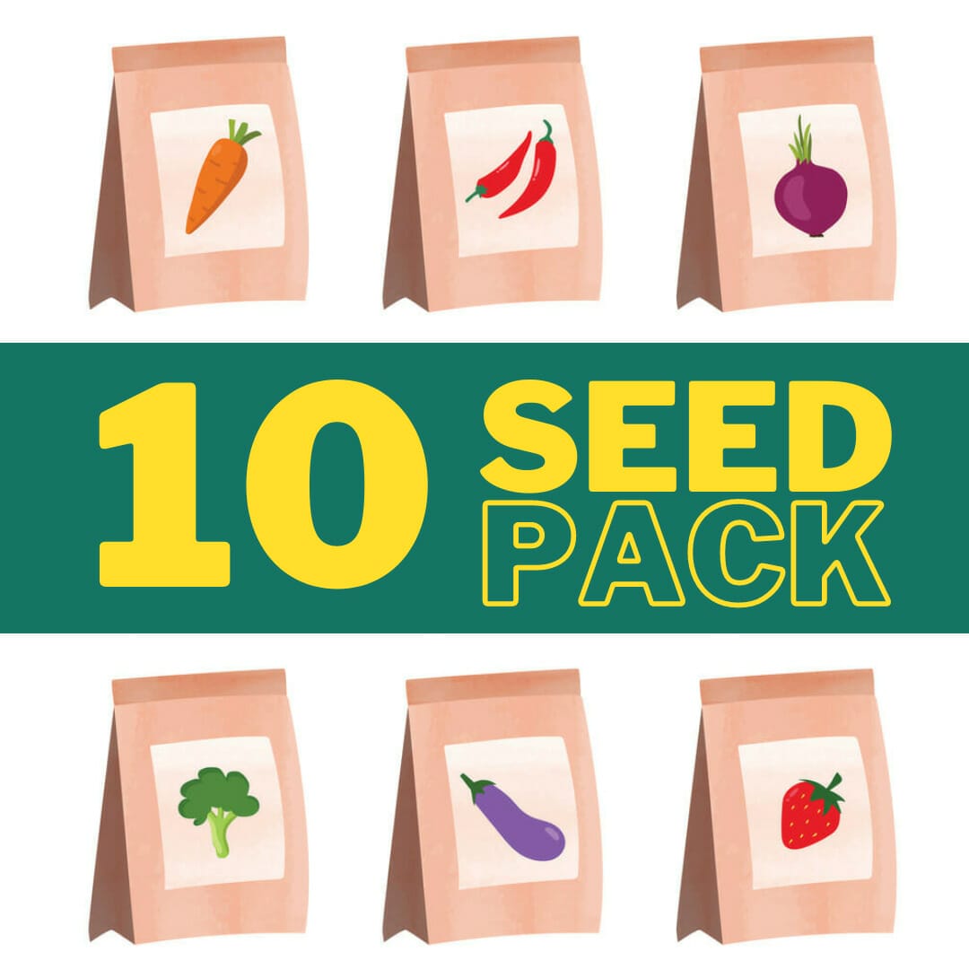 Seeds: Custom Pack (Set Of 10) | Homecrop