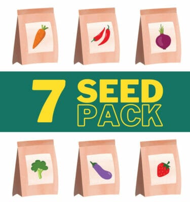 Seeds: Custom Pack (Set of 7)