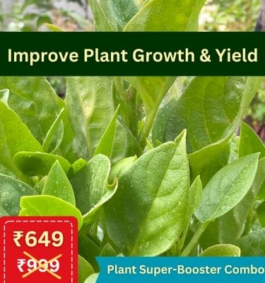 Plant Super-Booster Combo - Image 4